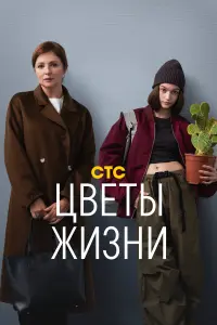 Анна Банщикова, Василиса Коростышевская, Павел